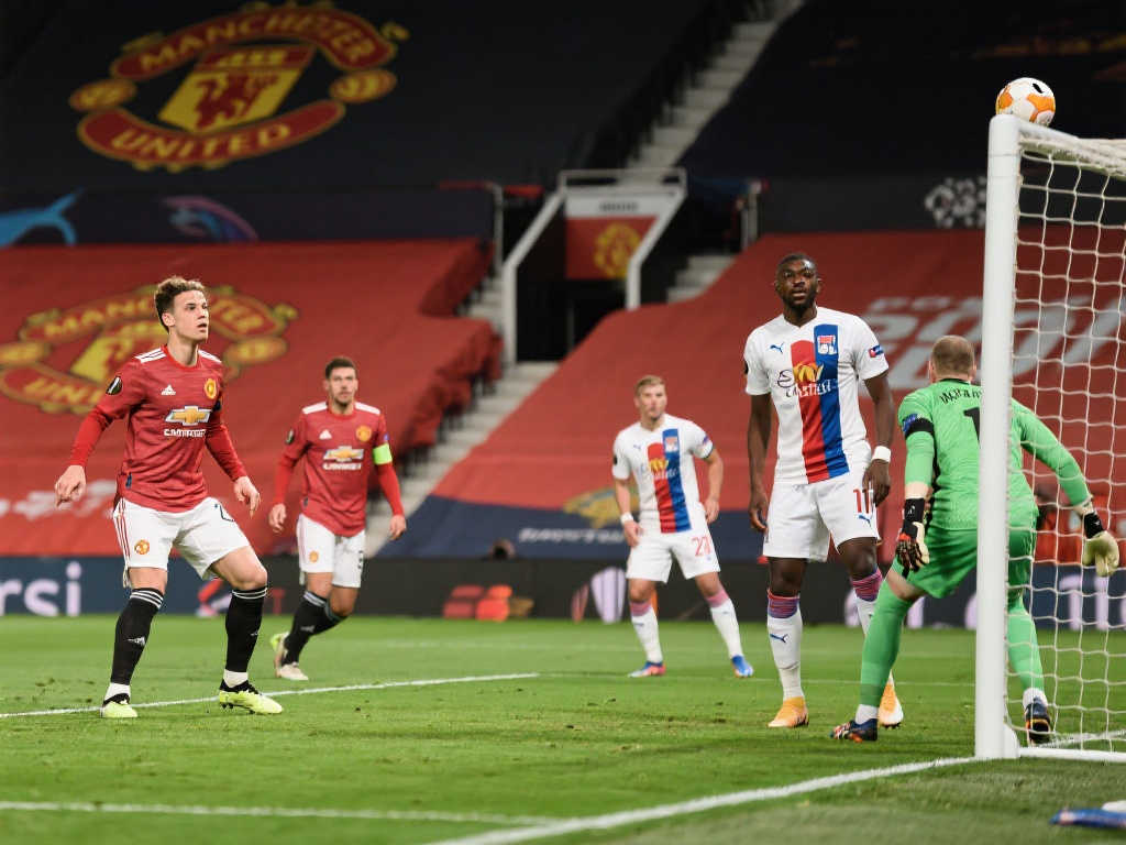 但他们在青 但他们在青